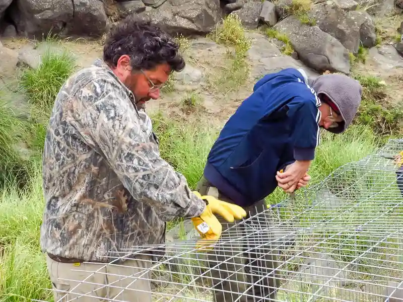 Imagen decorativa de la Fundación Somuncura