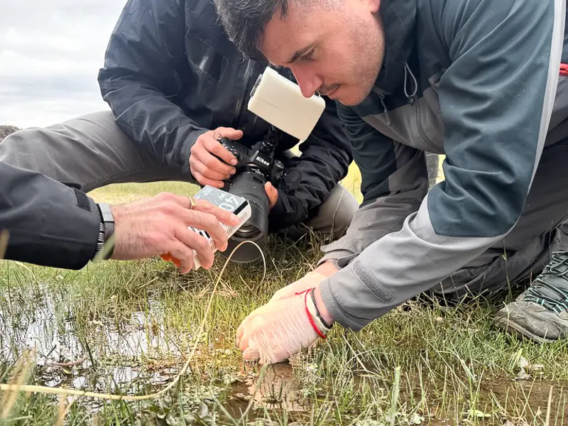 Imagen decorativa de la Fundación Somuncura