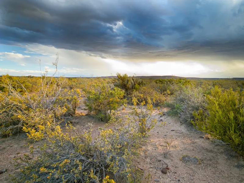 Imagen decorativa de la Fundación Somuncura