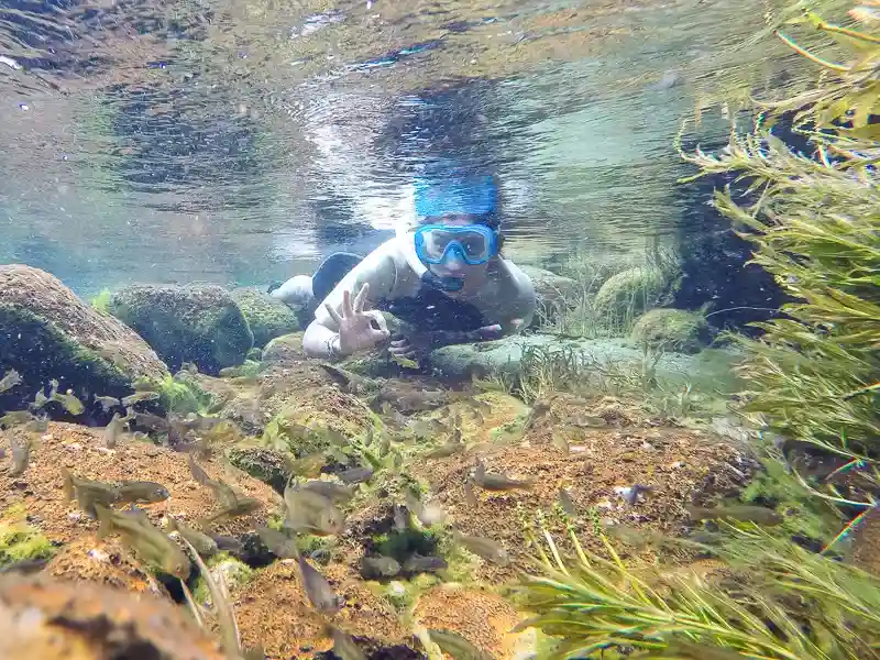 Imagen decorativa de la Fundación Somuncura