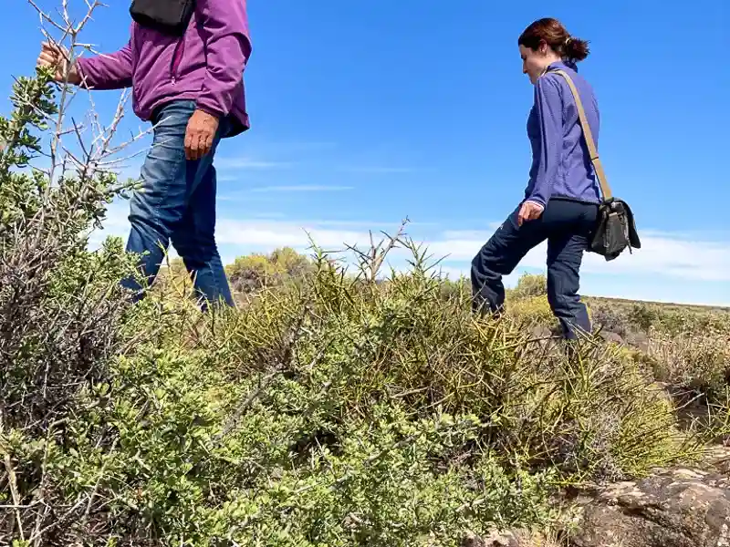 Imagen decorativa de la Fundación Somuncura