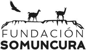 Logo Fundación Somuncura